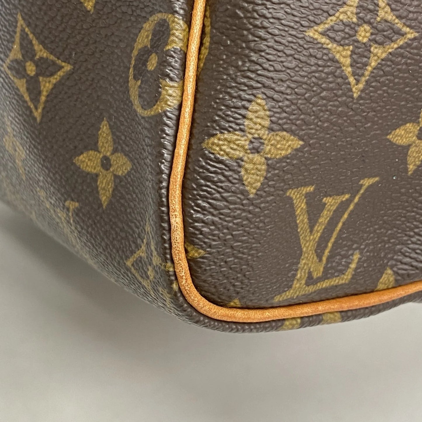 Louis Vuitton Speedy 25 Monogram Canvas