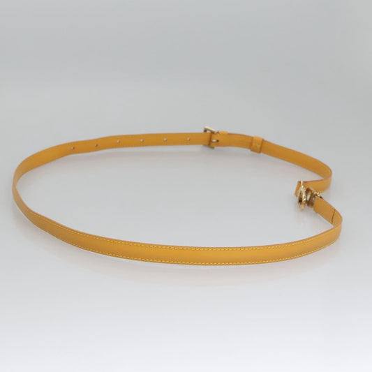 Louis Vuitton Bandoulière de sac