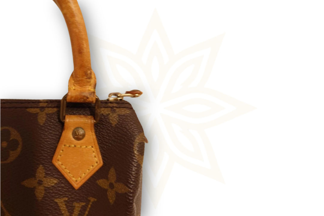 Louis Vuitton Nano Speedy Monogram Canvas – 2012