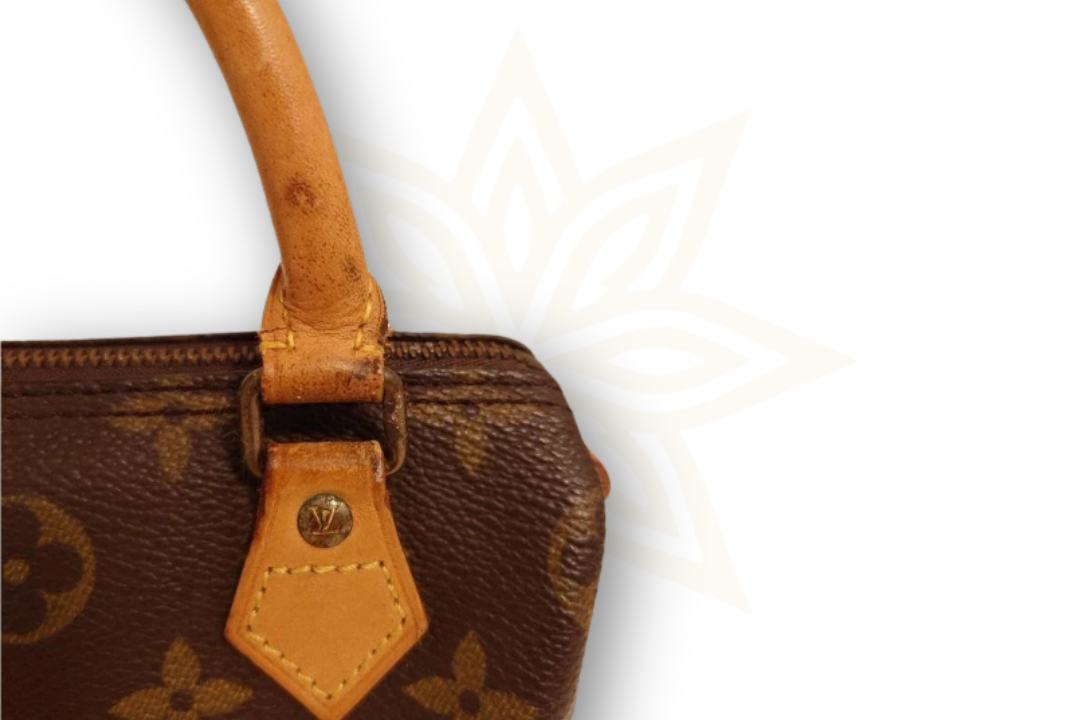 Louis Vuitton Nano Speedy Monogram Canvas – 2012