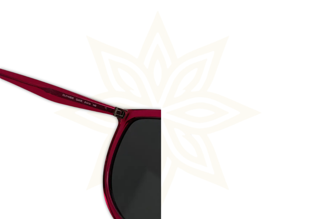 Occhiali da Sole Céline Shadow CL 41435/S – Rosa Trasparente