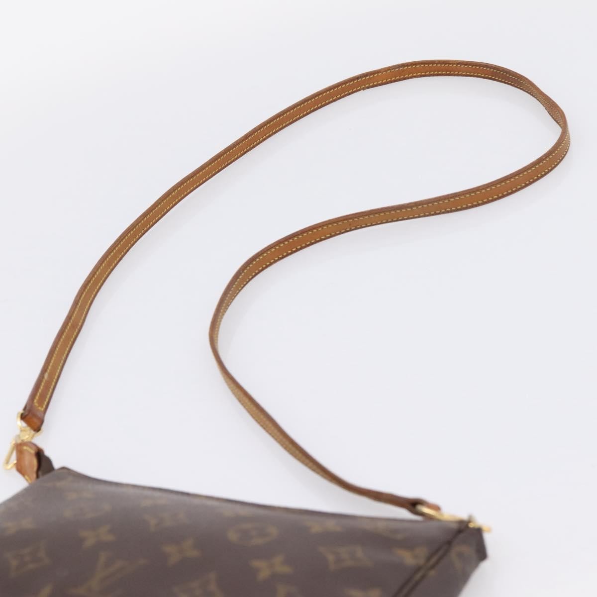 Louis Vuitton Pochette Accessoires NM