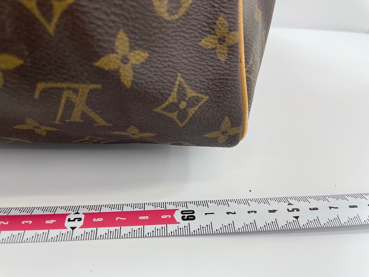 Louis Vuitton Borsa a mano in tela – Vachetta