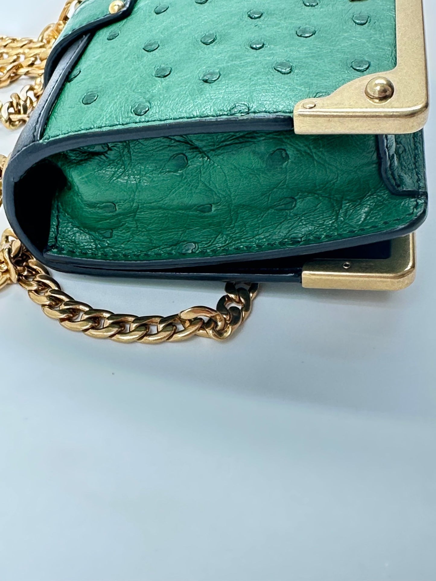 Prada Bandoliera 1BH058 Struzzo + City Verde + Nero – Hardware Oro – Full Set - Etoilux