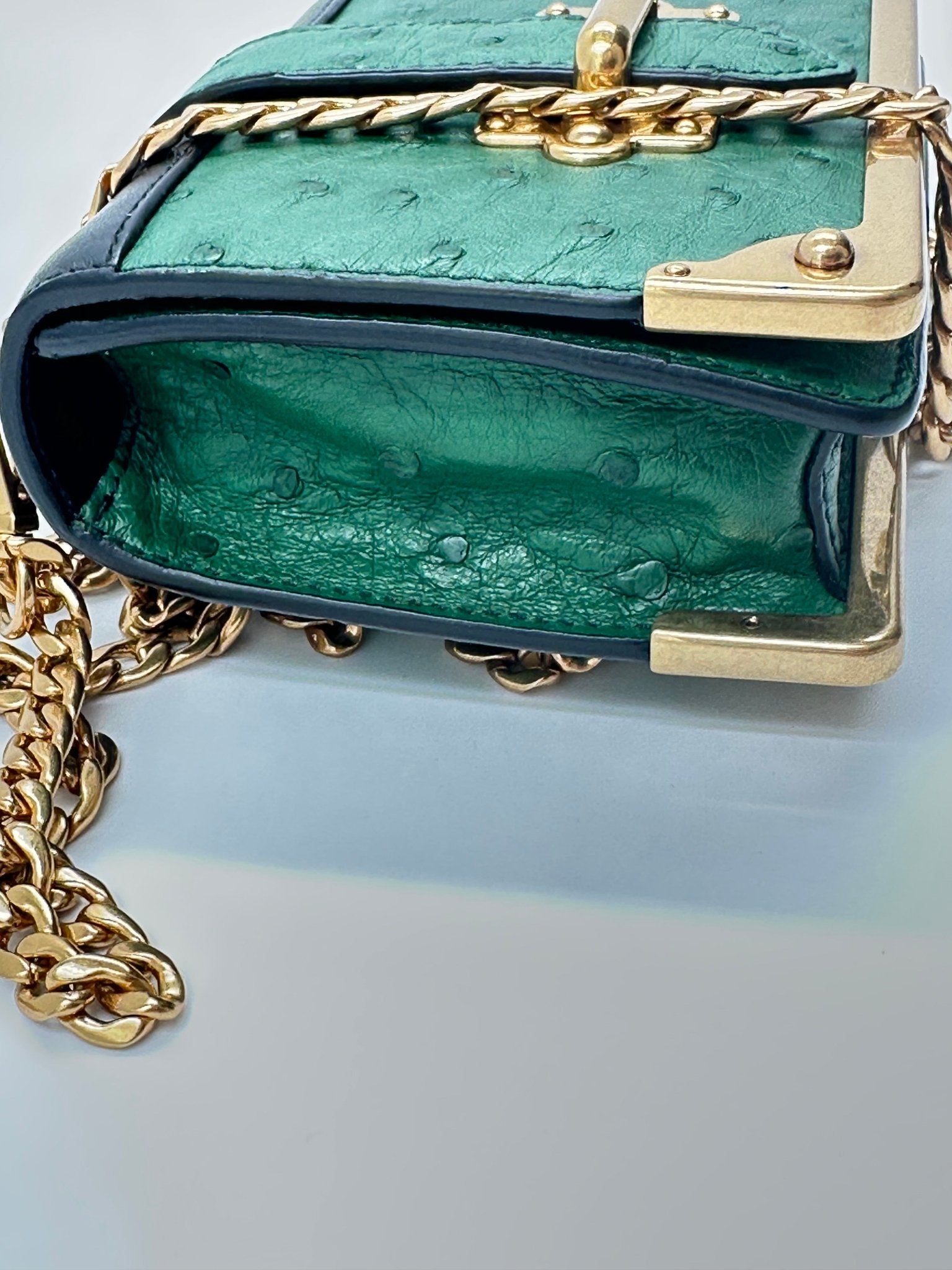 Prada Bandoliera 1BH058 Struzzo + City Verde + Nero – Hardware Oro – Full Set - Etoilux