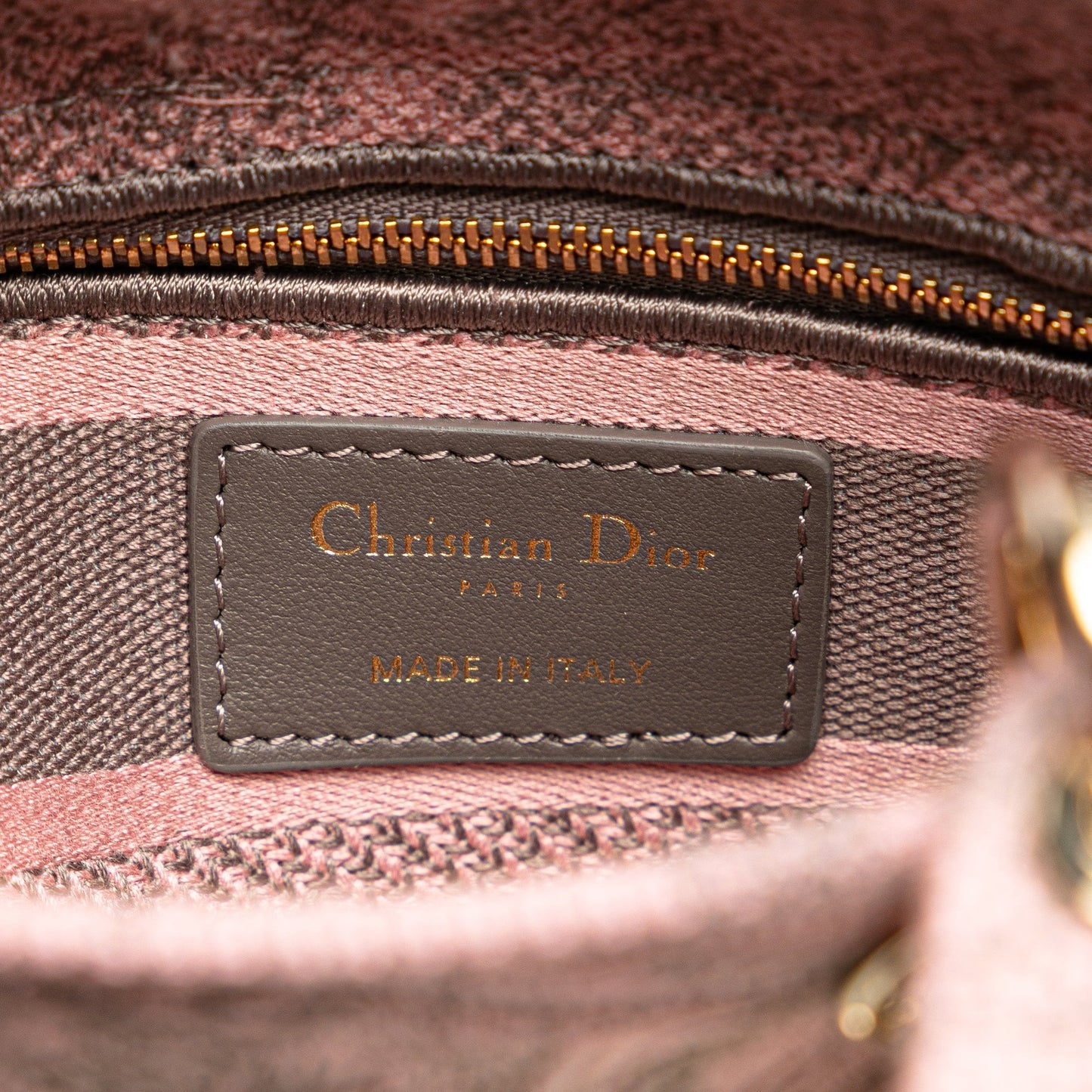 Christian Dior – Lady D - Lite Mini – Toile de Jouy Ricamata Rose (2023) - Etoilux