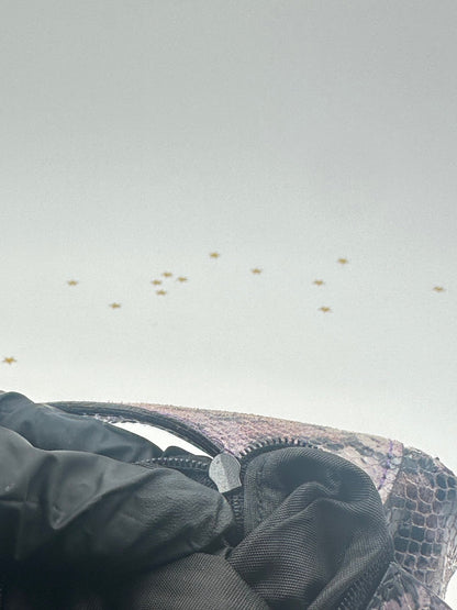 Gucci Jackie Hobo in Pelle Stampa Pitone – Vintage - Etoilux