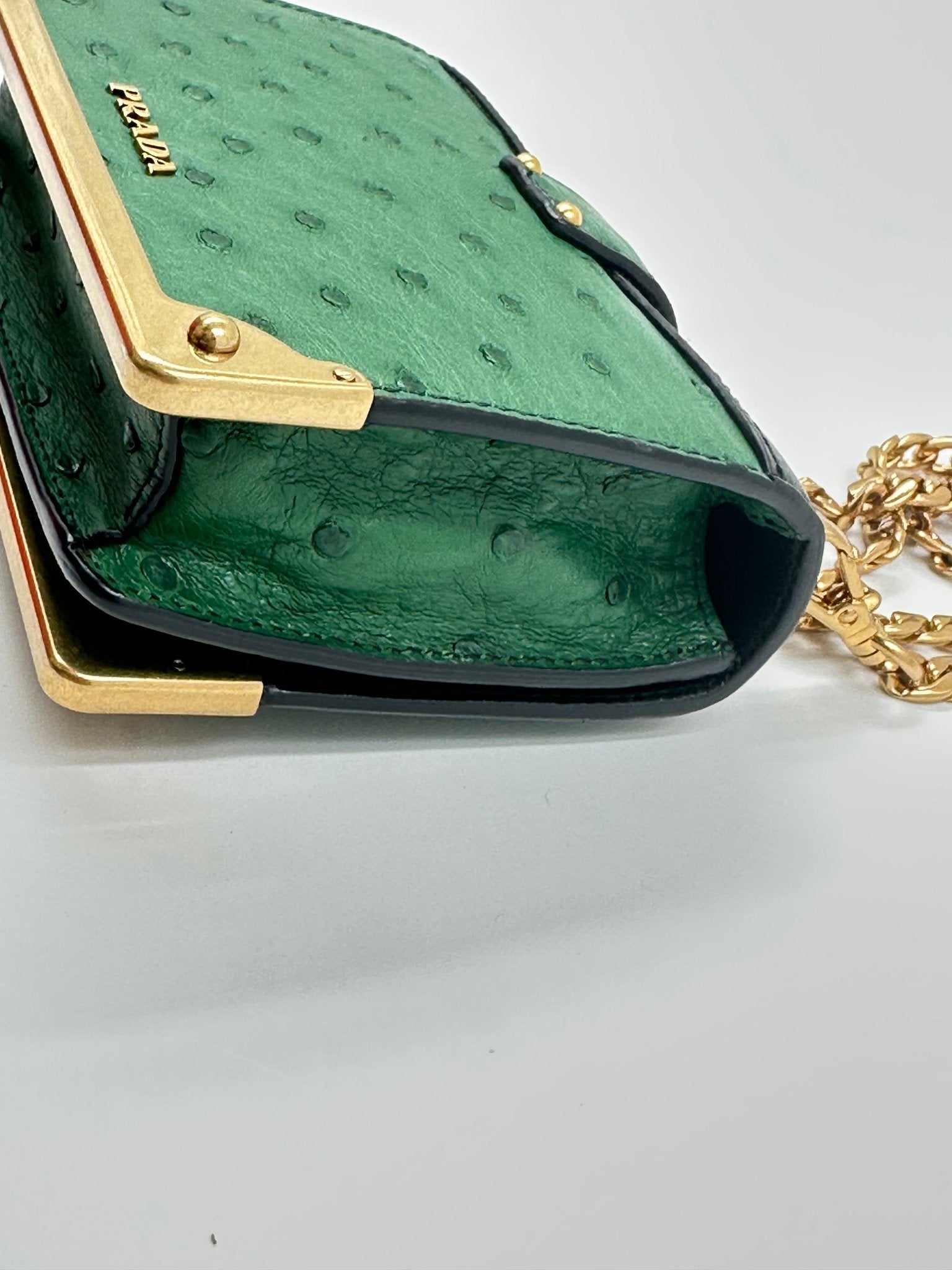 Prada Bandoliera 1BH058 Struzzo + City Verde + Nero – Hardware Oro – Full Set - Etoilux