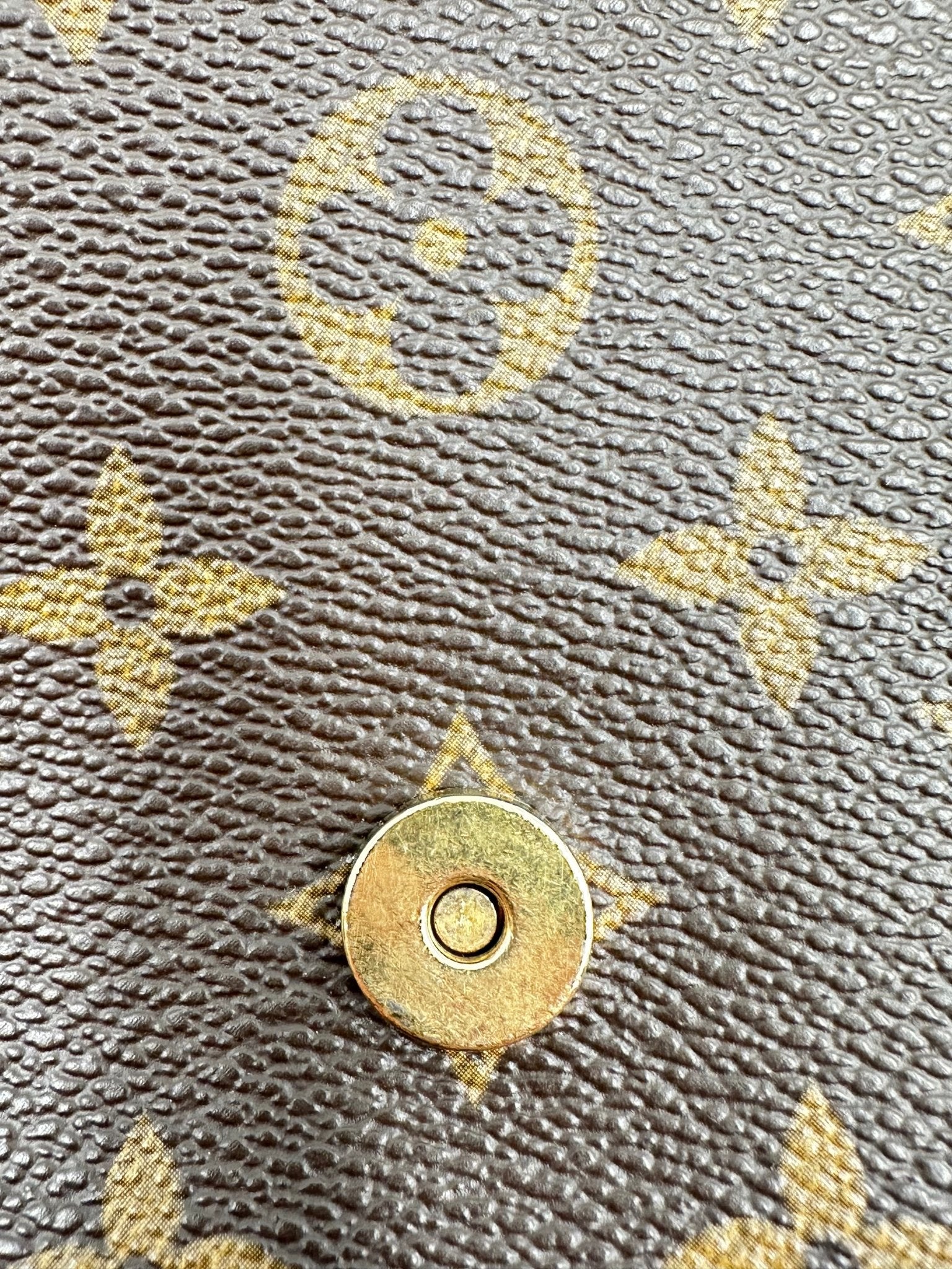 Louis Vuitton – Musette Salsa PM Monogram Canvas – Crossbody - Etoilux