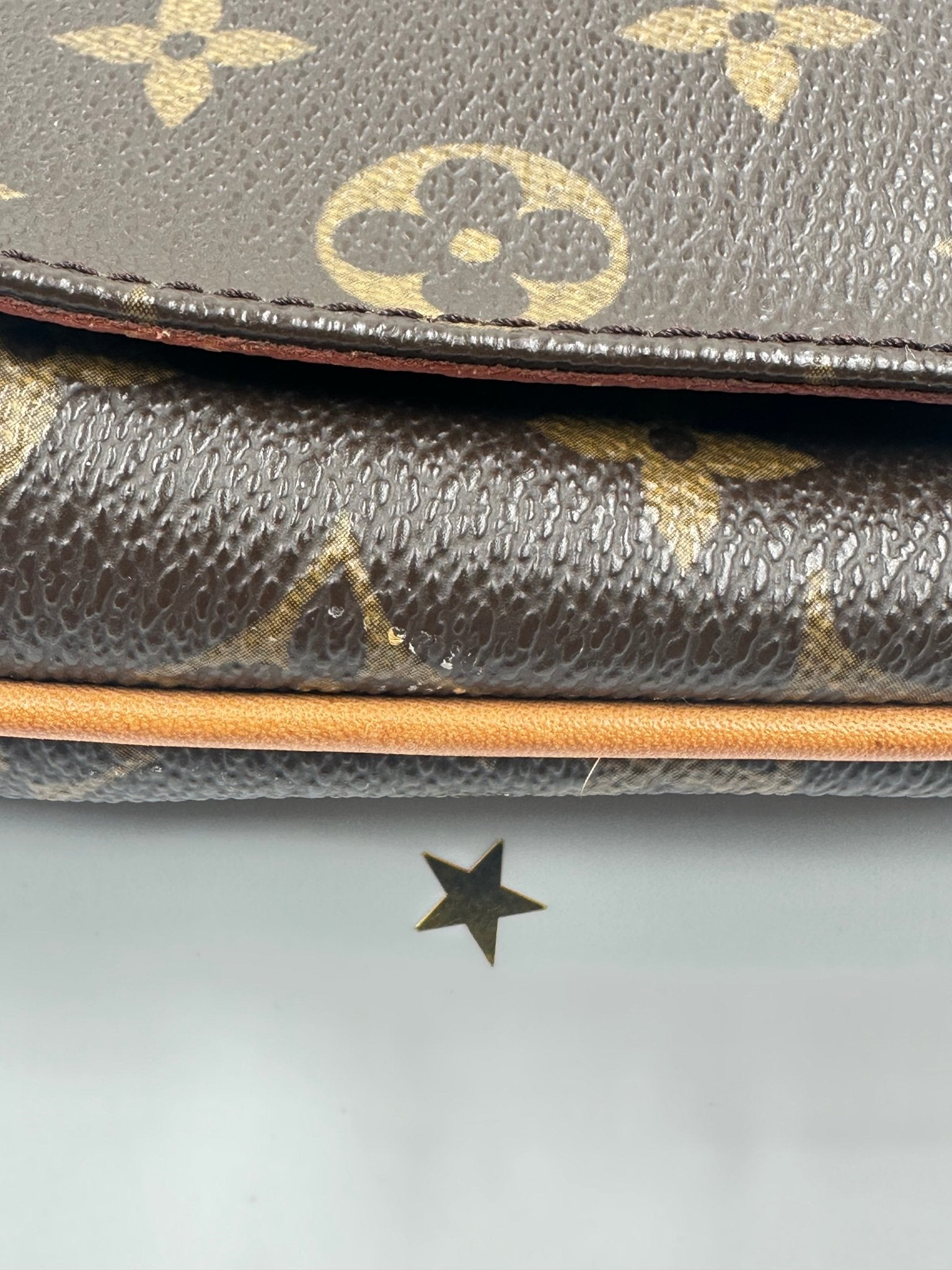 Louis Vuitton – Musette Salsa PM Monogram Canvas – Crossbody - Etoilux