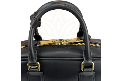 Miu Miu Arcadie Bag - Etoilux
