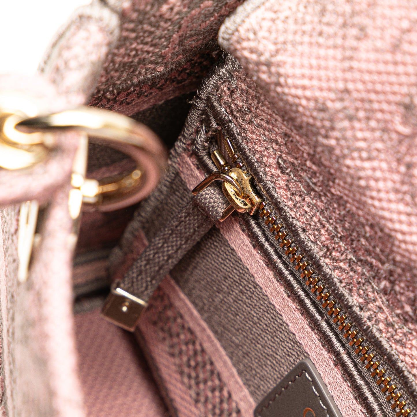 Christian Dior – Lady D-Lite Mini – Toile de Jouy Ricamata Rose (2023)