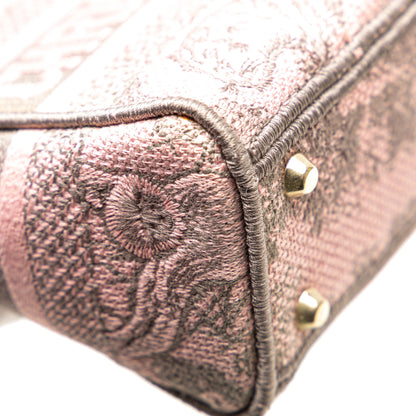 Christian Dior – Lady D-Lite Mini – Toile de Jouy Ricamata Rose (2023)