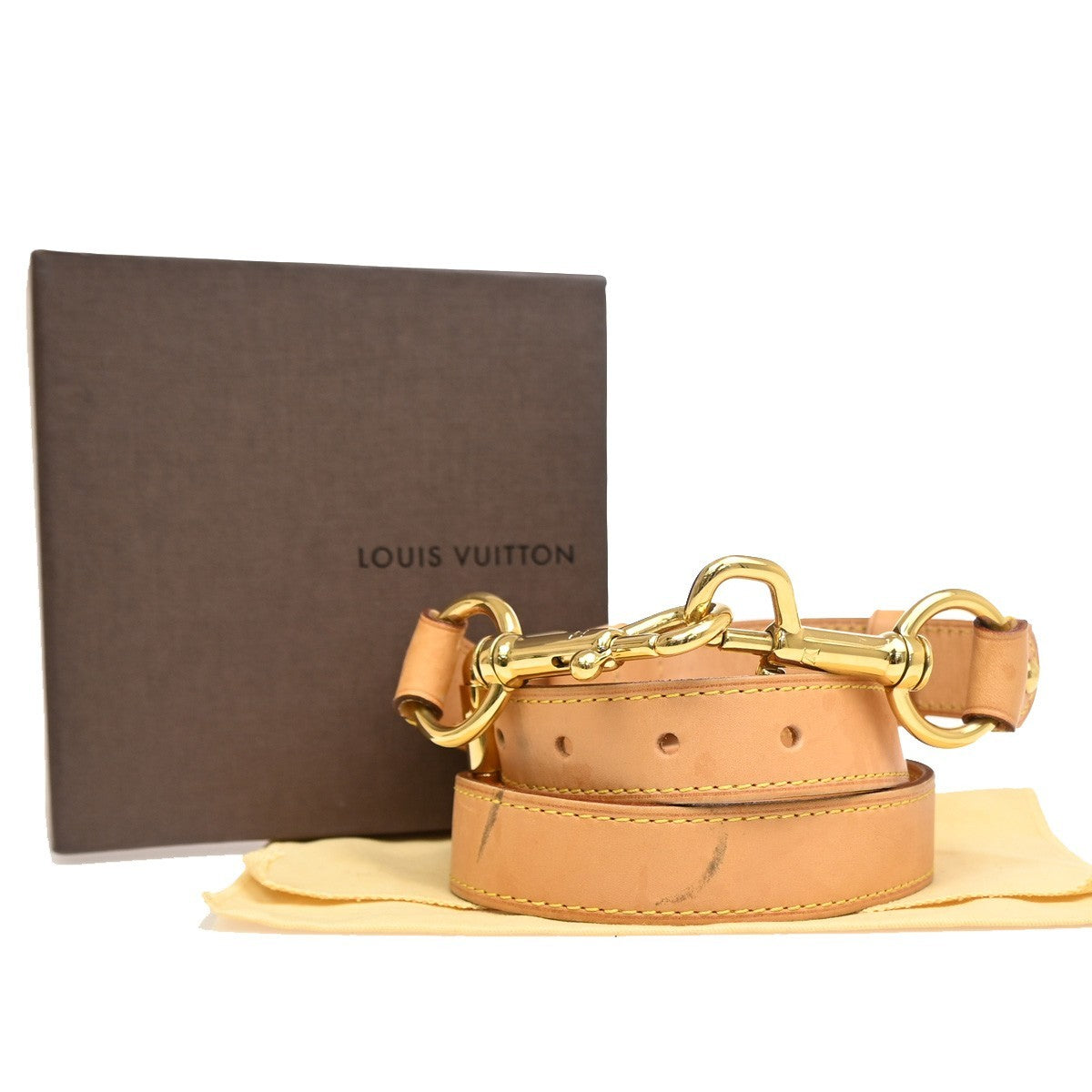 Louis Vuitton Tracolla in Pelle